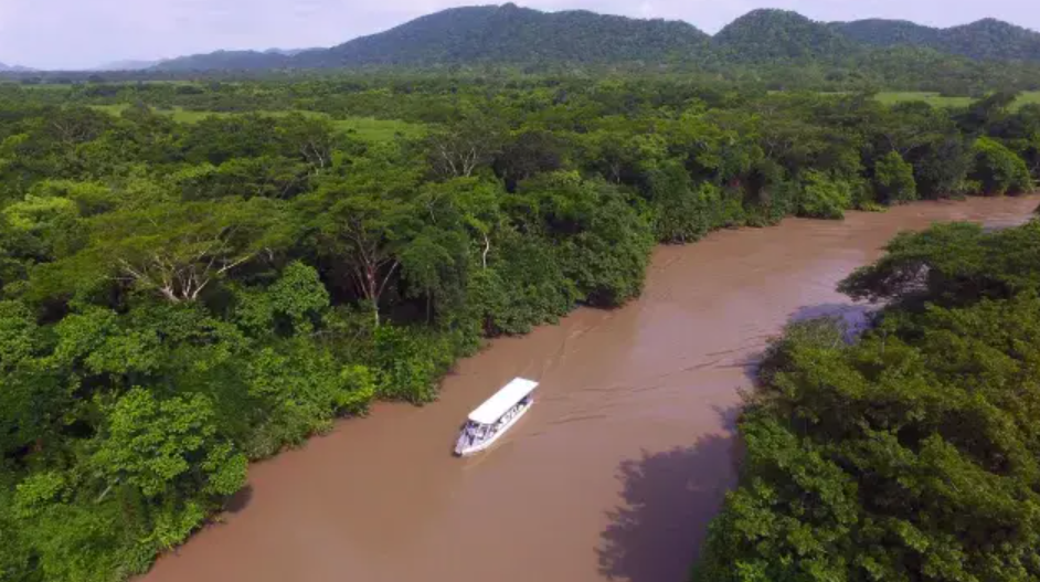 Parque Nacional Palo Verde , Guanacaste Province, Costa Rica